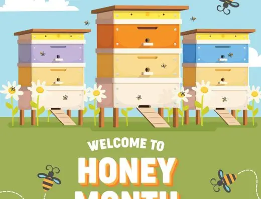 Healys Honey 3