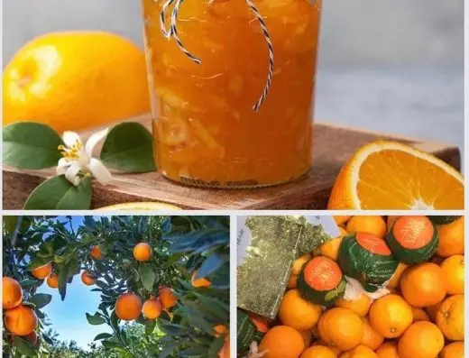 The Fruit Brothers 2