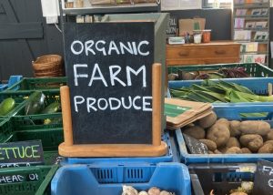 An Tairseach Organic Farm & Ecology Centre 4