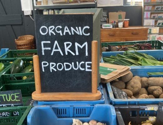 An Tairseach Organic Farm & Ecology Centre 4