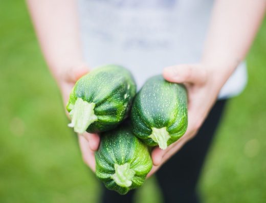 Garden County Organics 1