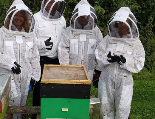 Killarney Bee Walks and Honey 1