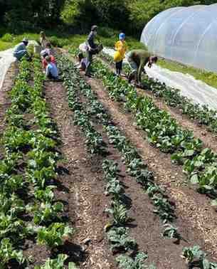 Castleruddery Organic Farm