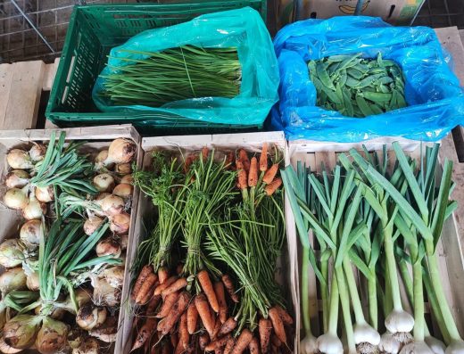 Slieve Bloom Organics